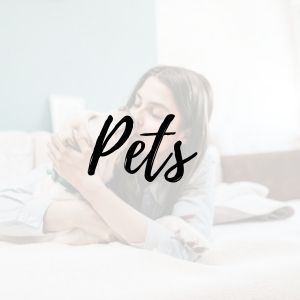 pets poppystop.com